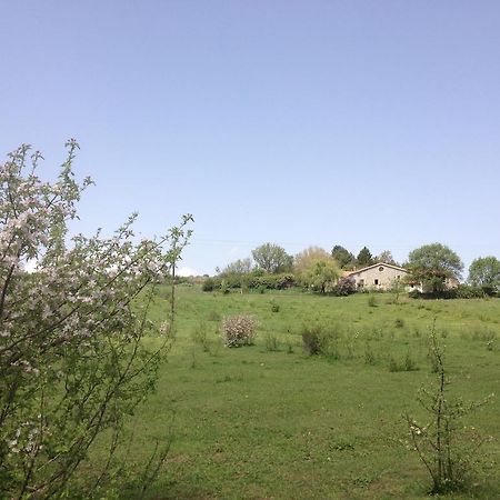 Les Gites D'Eliane Laragne Esterno foto