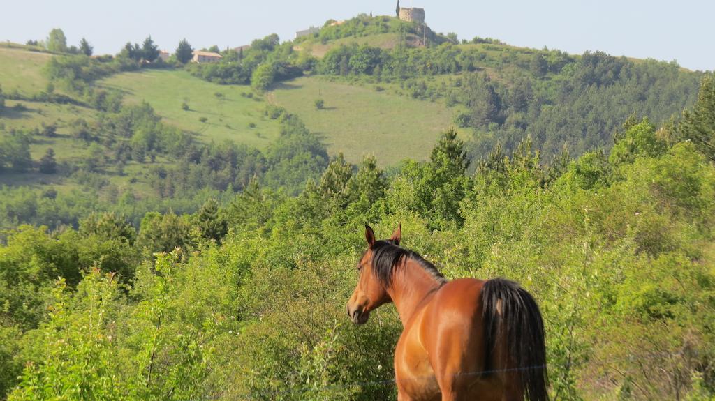 Les Gites D'Eliane Laragne Esterno foto