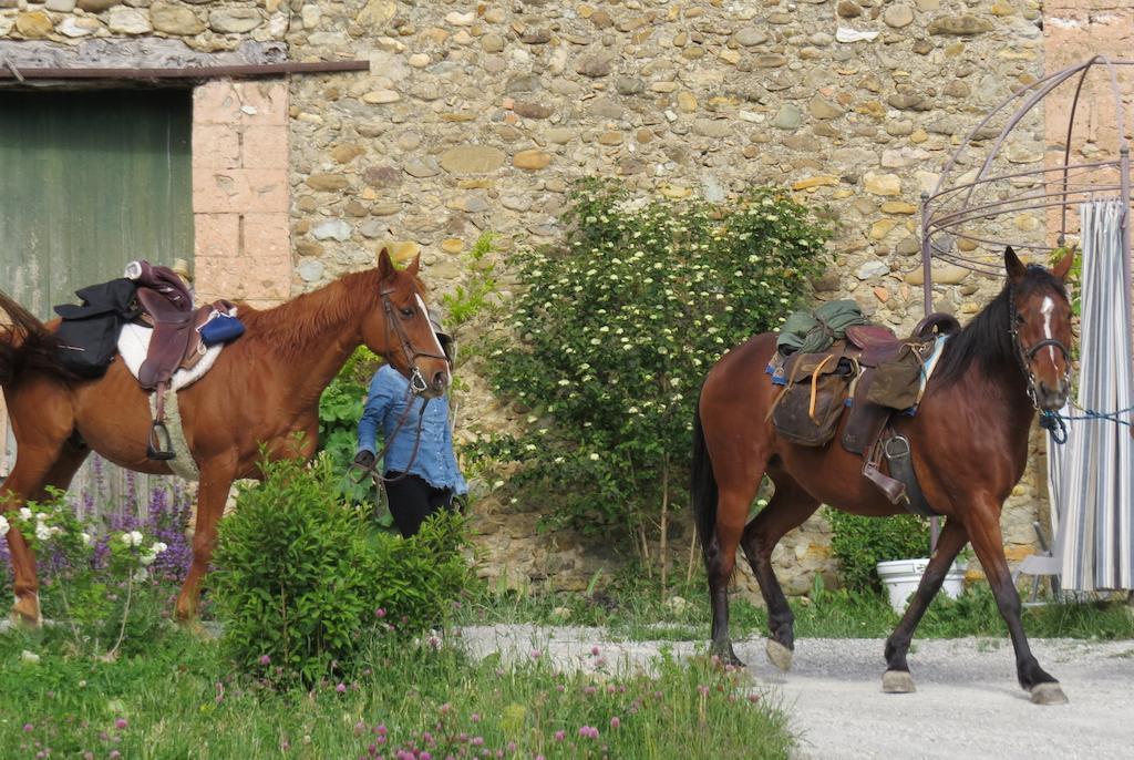 Les Gites D'Eliane Laragne Esterno foto