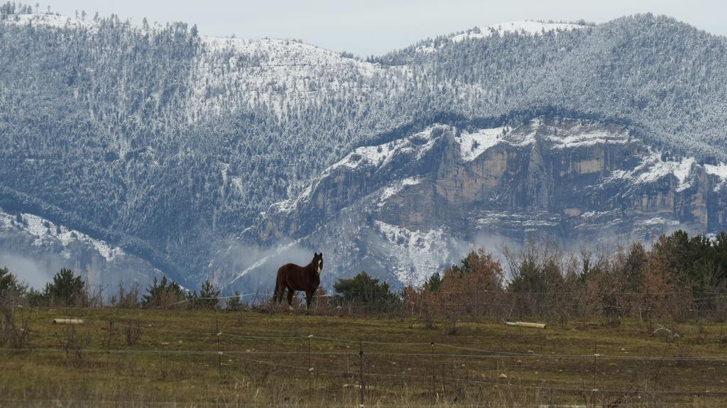 Les Gites D'Eliane Laragne Esterno foto