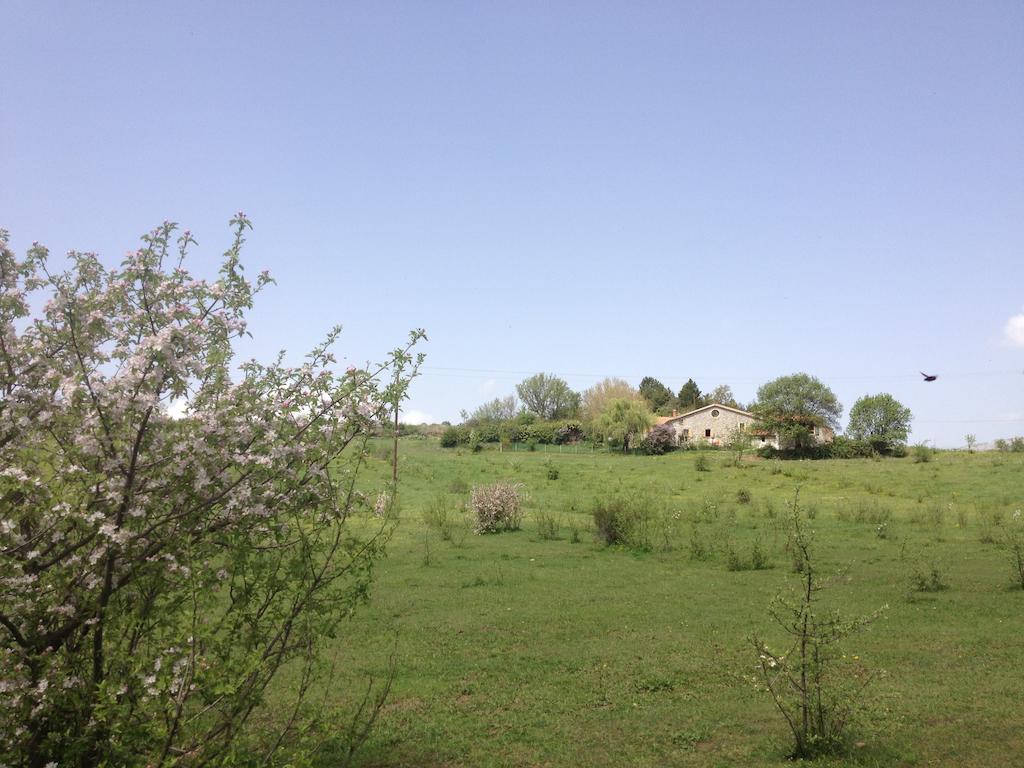 Les Gites D'Eliane Laragne Esterno foto